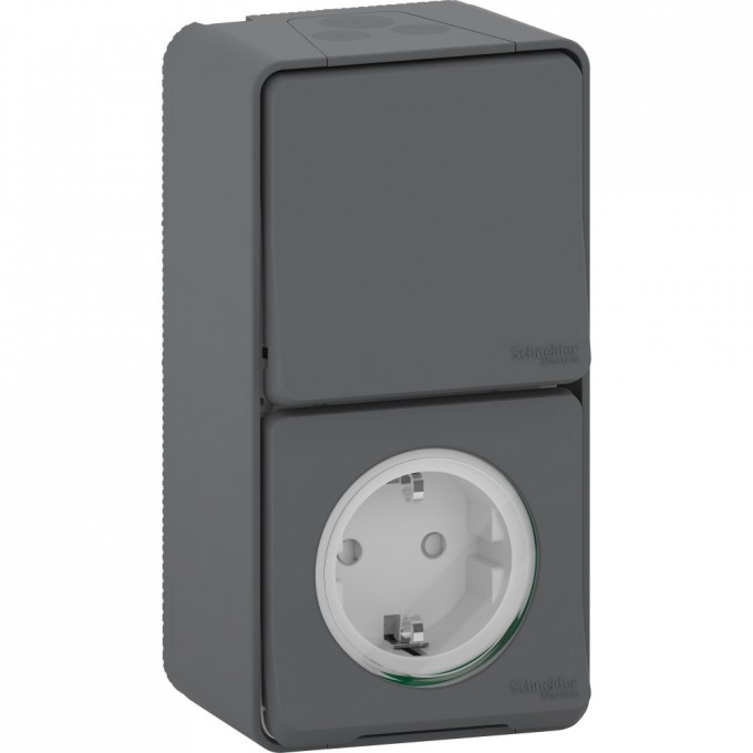 Блок SCHNEIDER ELECTRIC MUREVA S розетка + переключатель в сборе, О/У вертикальный, АНТРАЦИТ, IP55 MUR36024