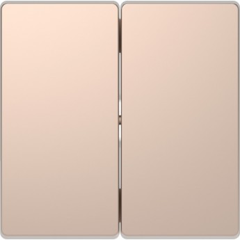 Клавиша двойная MERTEN D-LIFE, ШАМПАНЬ Клавиша двойная MERTEN D-LIFE, ШАМПАНЬ